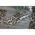 Скатерть коллекция "Art Teflon" цвет Leopard в Москве Скатерть коллекция "Art Teflon" цвет Leopard в Москве