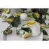 Наперон коллекция "Art Teflon" цвет ART Teflon lemons в Комсомольске-на-Амуре Наперон коллекция "Art Teflon" цвет ART Teflon lemons в Комсомольске-на-Амуре